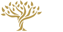 Family Office Foundation